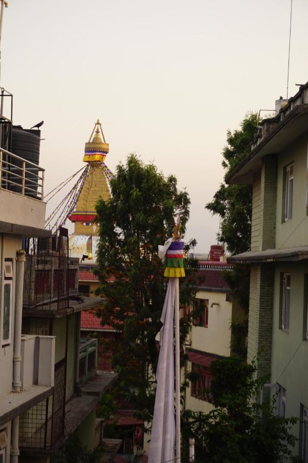 Drakon Nest Homestay Катманду Экстерьер фото