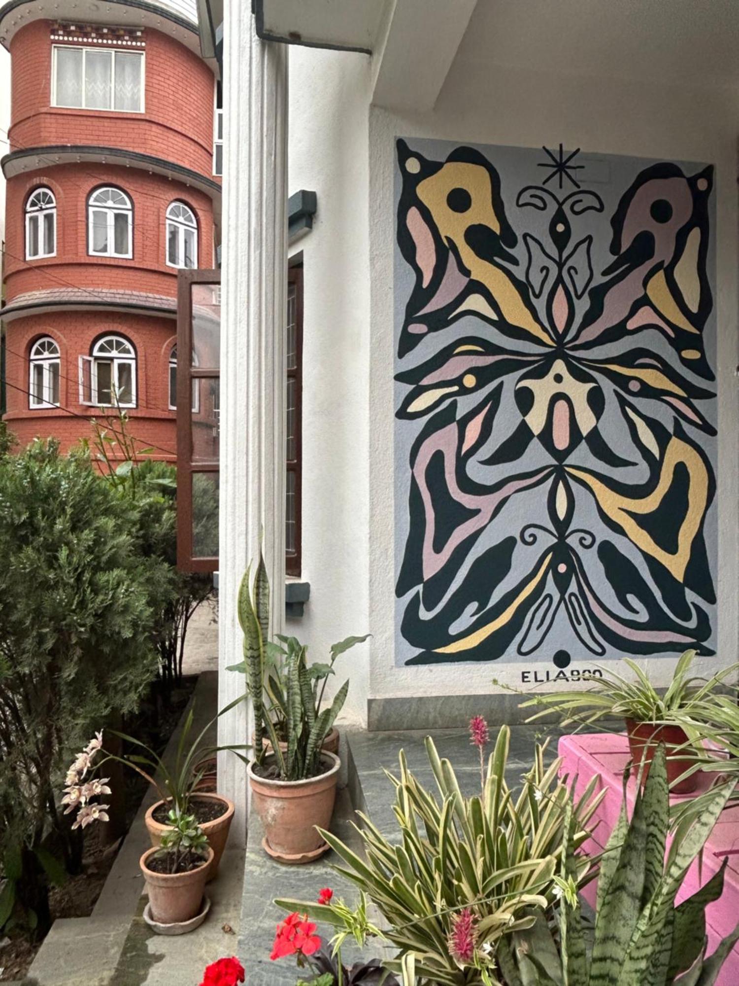 Drakon Nest Homestay Катманду Экстерьер фото